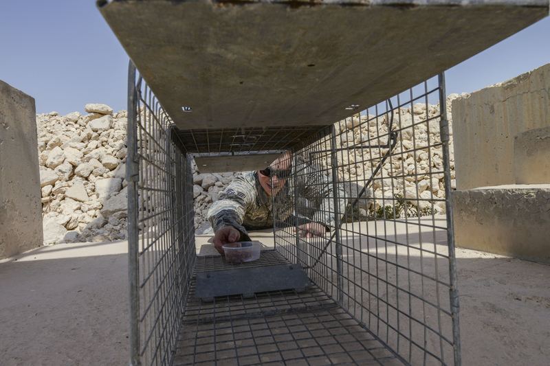 Senior Airman Jordan Hocker places bait inside a live trap at the 379th Air Expeditionary Wing in Southwest Asia, Oct. 8
